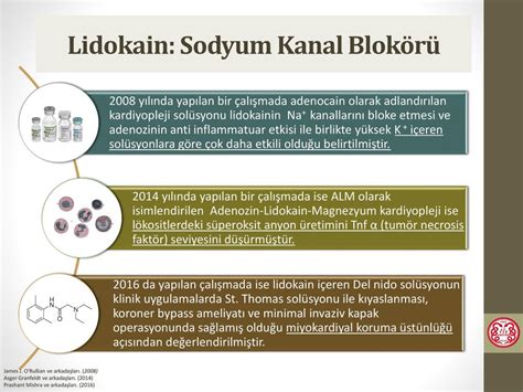  Magnezyum: Elektronik Uygulamalarında Hafif ve Güçlü Bir Çözüm!